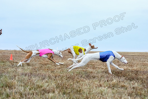 Prelim Open 1, Havok Zeppelin Alba-3041