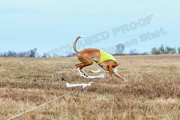 Prelim Open 2, Sam Willow-3116