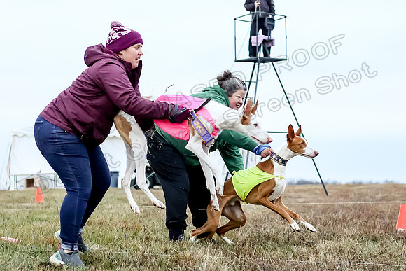 Prelim Open 2, Sam Willow-3076