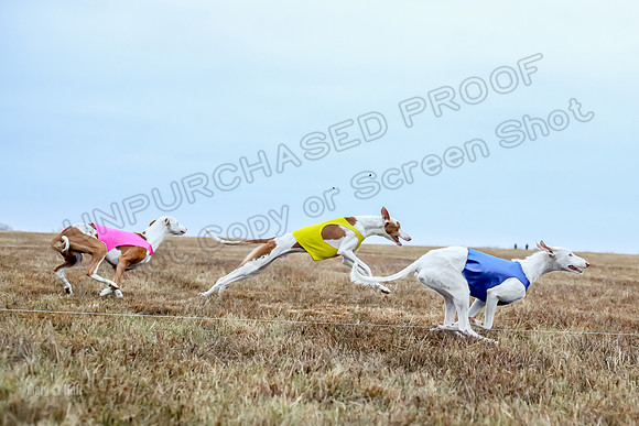 Prelim Open 1, Havok Zeppelin Alba-3043