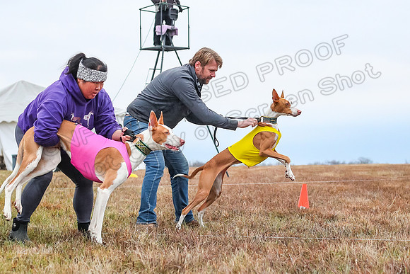 Prelim Specials A2, Cora Fable-3238
