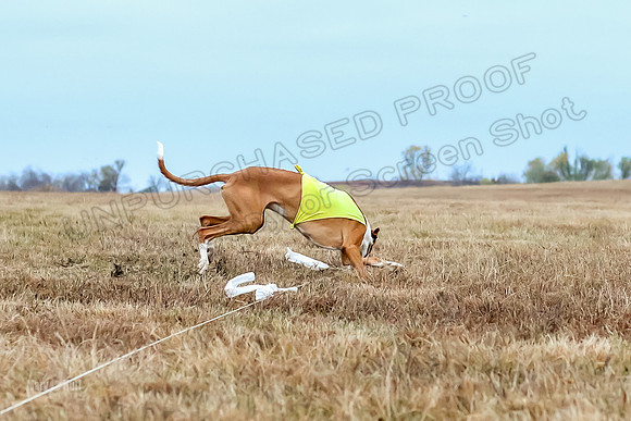 Prelim Open 2, Sam Willow-3115