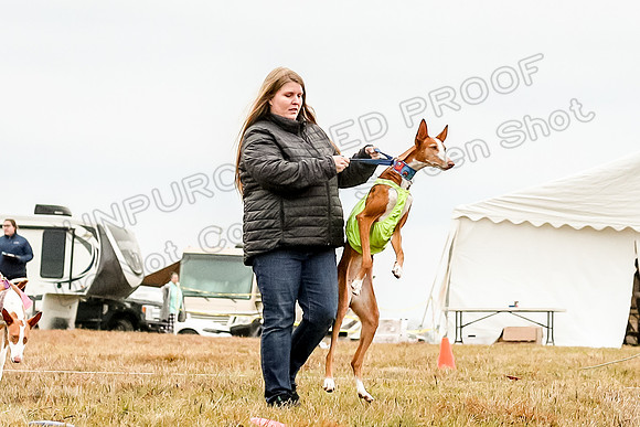 Prelim Specials B1, Pippi Madyson Abby-3385