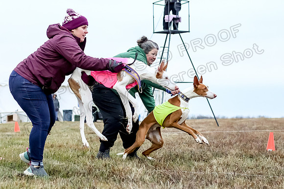 Prelim Open 2, Sam Willow-3075