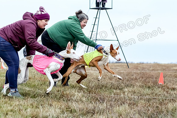 Prelim Open 2, Sam Willow-3071