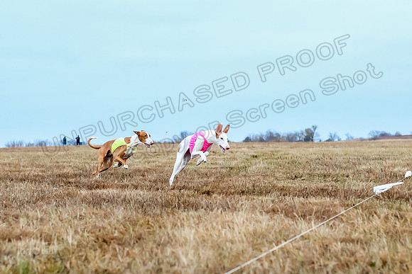 Prelim Open 2, Sam Willow-3105