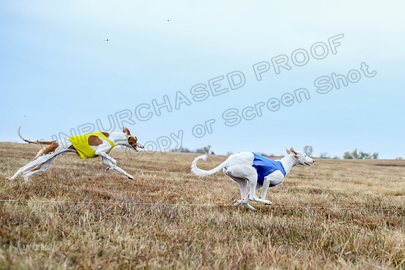 Prelim Open 1, Havok Zeppelin Alba-3047