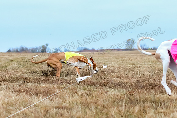 Prelim Open 2, Sam Willow-3113