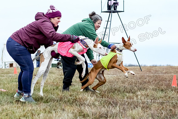 Prelim Open 2, Sam Willow-3073