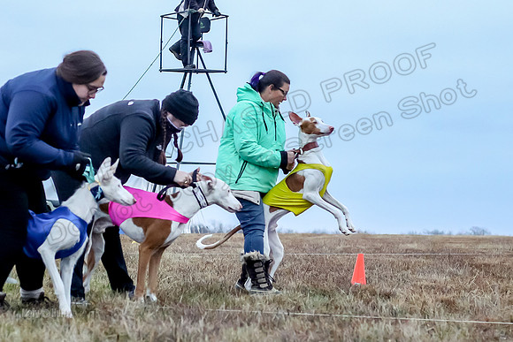 Prelim Open 1, Havok Zeppelin Alba-3023