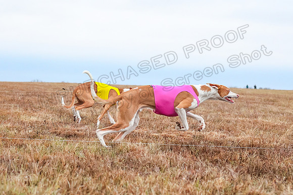 Prelim Specials A2, Cora Fable-3259