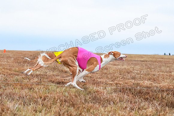 Prelim Specials A2, Cora Fable-3258