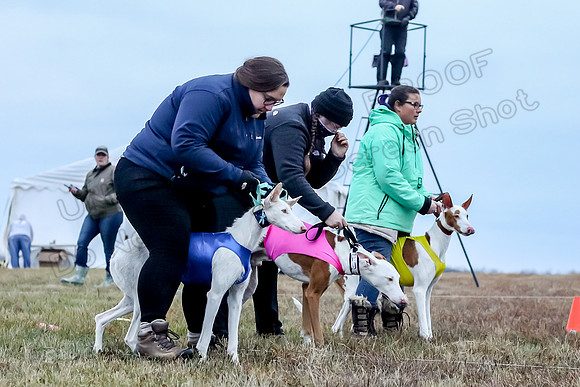 Prelim Open 1, Havok Zeppelin Alba-3022