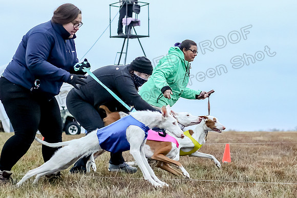 Prelim Open 1, Havok Zeppelin Alba-3034