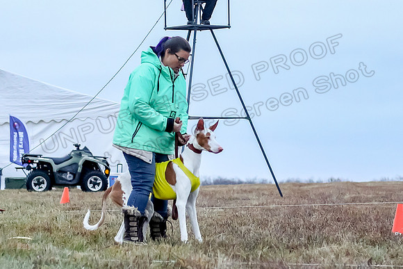 Prelim Open 1, Havok Zeppelin Alba-3019