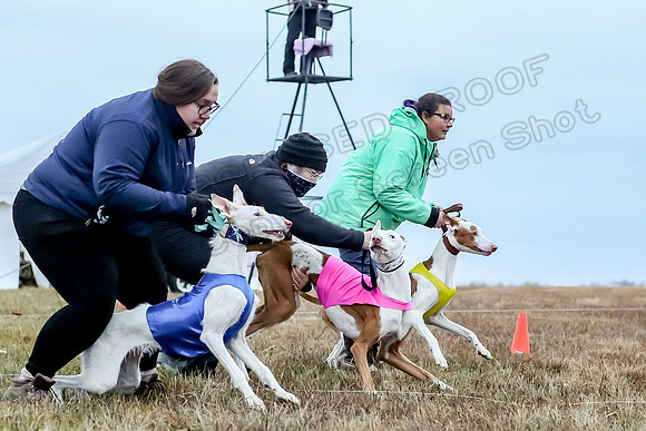 Prelim Open 1, Havok Zeppelin Alba-3031