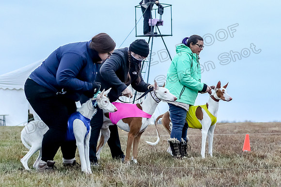 Prelim Open 1, Havok Zeppelin Alba-3025