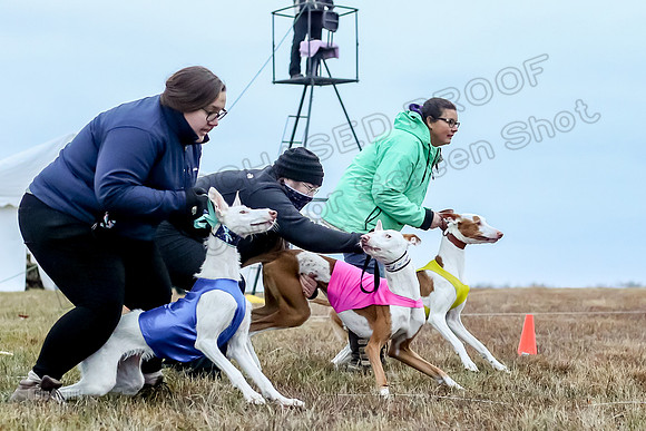 Prelim Open 1, Havok Zeppelin Alba-3030