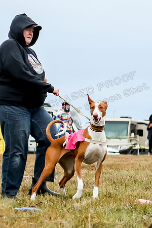 Prelim Specials A1 Luna Ginny Beetlejuice-3136