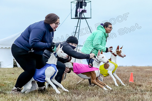 Prelim Open 1, Havok Zeppelin Alba-3027