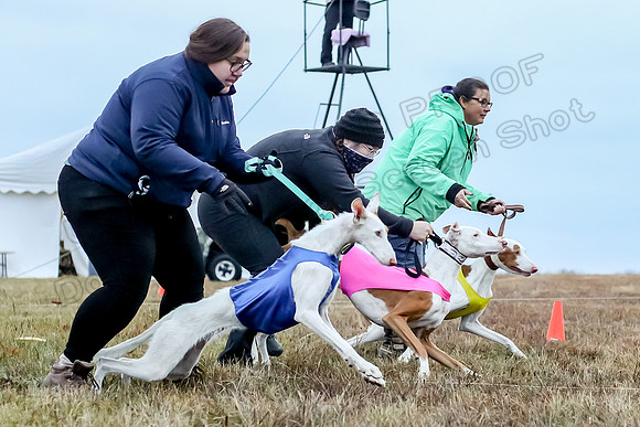 Prelim Open 1, Havok Zeppelin Alba-3033