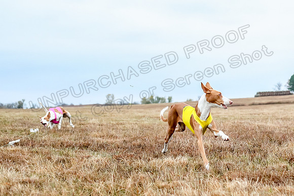 Prelim Specials A2, Cora Fable-3286