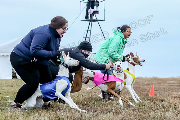 Prelim Open 1, Havok Zeppelin Alba-3029
