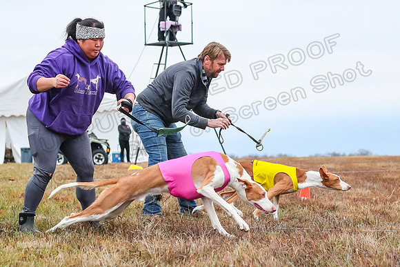 Prelim Specials A2, Cora Fable-3253