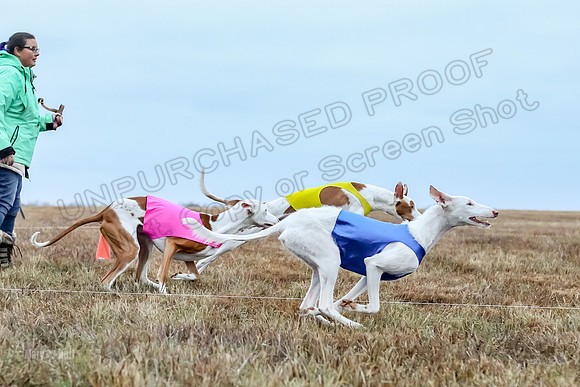 Prelim Open 1, Havok Zeppelin Alba-3039