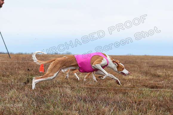 Prelim Specials A2, Cora Fable-3255