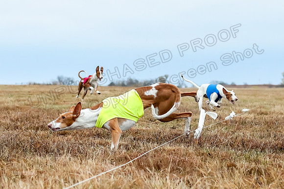 Prelim Specials A1 Luna Ginny Beetlejuice-3206