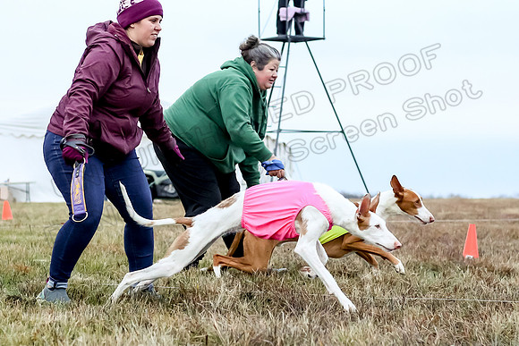 Prelim Open 2, Sam Willow-3082