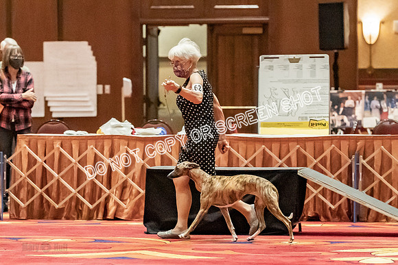 12-15 Puppy Bitch-2045