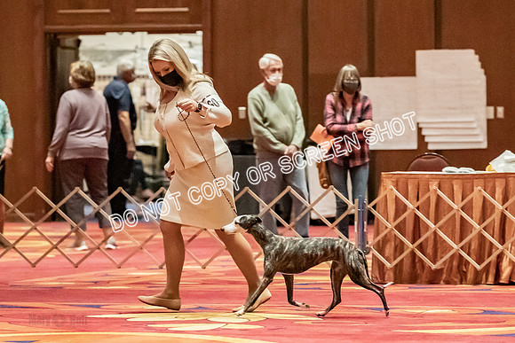 12-15 Puppy Bitch-2040