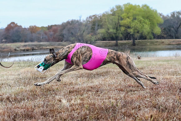 Prelims Open 3, Pebbles Kraken-3969
