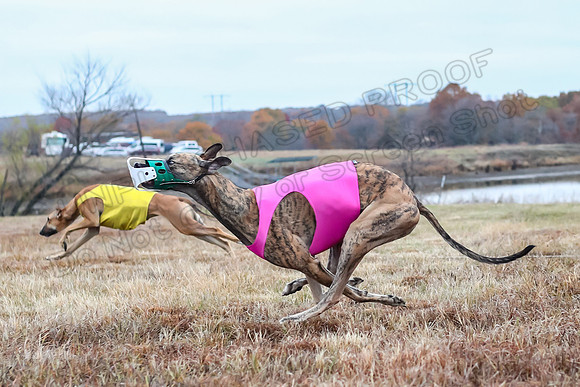 Prelims Open 3, Pebbles Kraken-3971