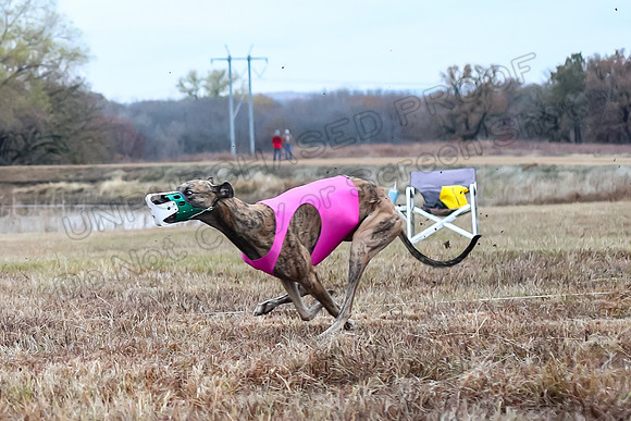 Prelims Open 3, Pebbles Kraken-3968-2