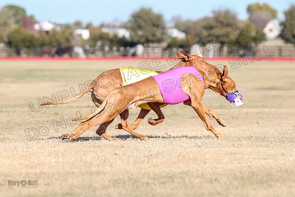 1Prelims Spec 1 Calyber Jasper-0781