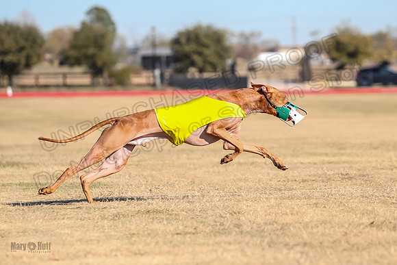1Prelims Spec 2 Tango Cuest-0885
