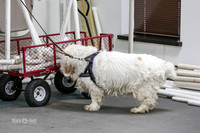 MCH52422