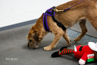 MCH53172