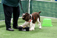 MCH52008
