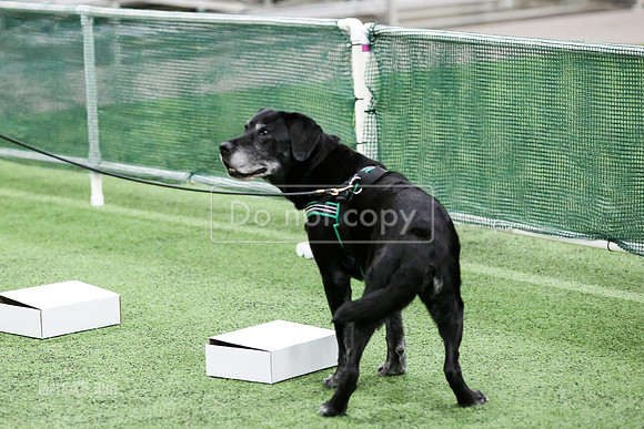 MCH51886
