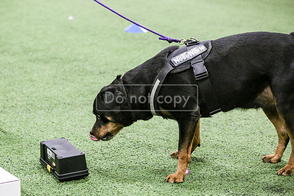 MCH52589