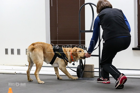 MCH53082