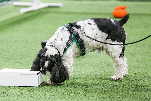 MCH51950