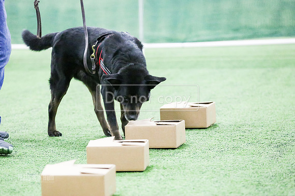 MCH51699