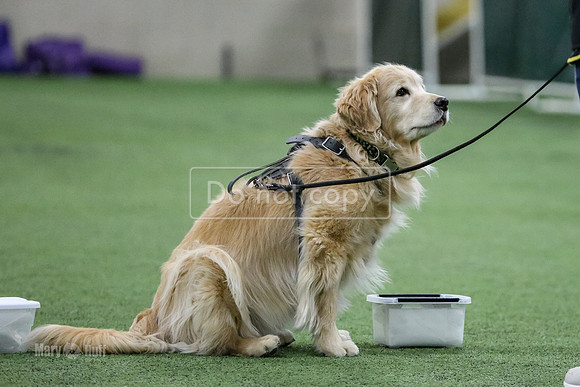 MCH52650