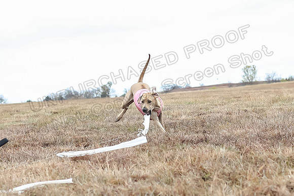 Prelims Specials 4, Fia Nilla Zoey-4950