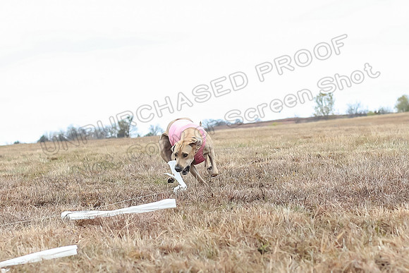 Prelims Specials 4, Fia Nilla Zoey-4951
